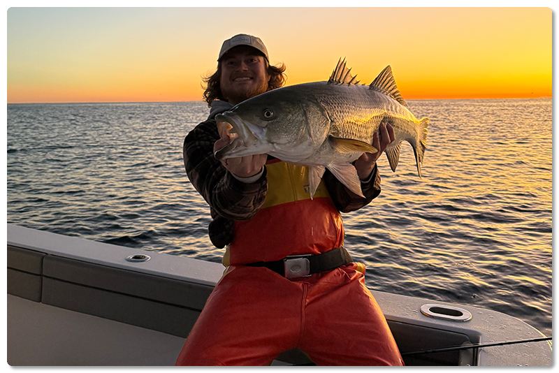 Protect Striped Bass Access